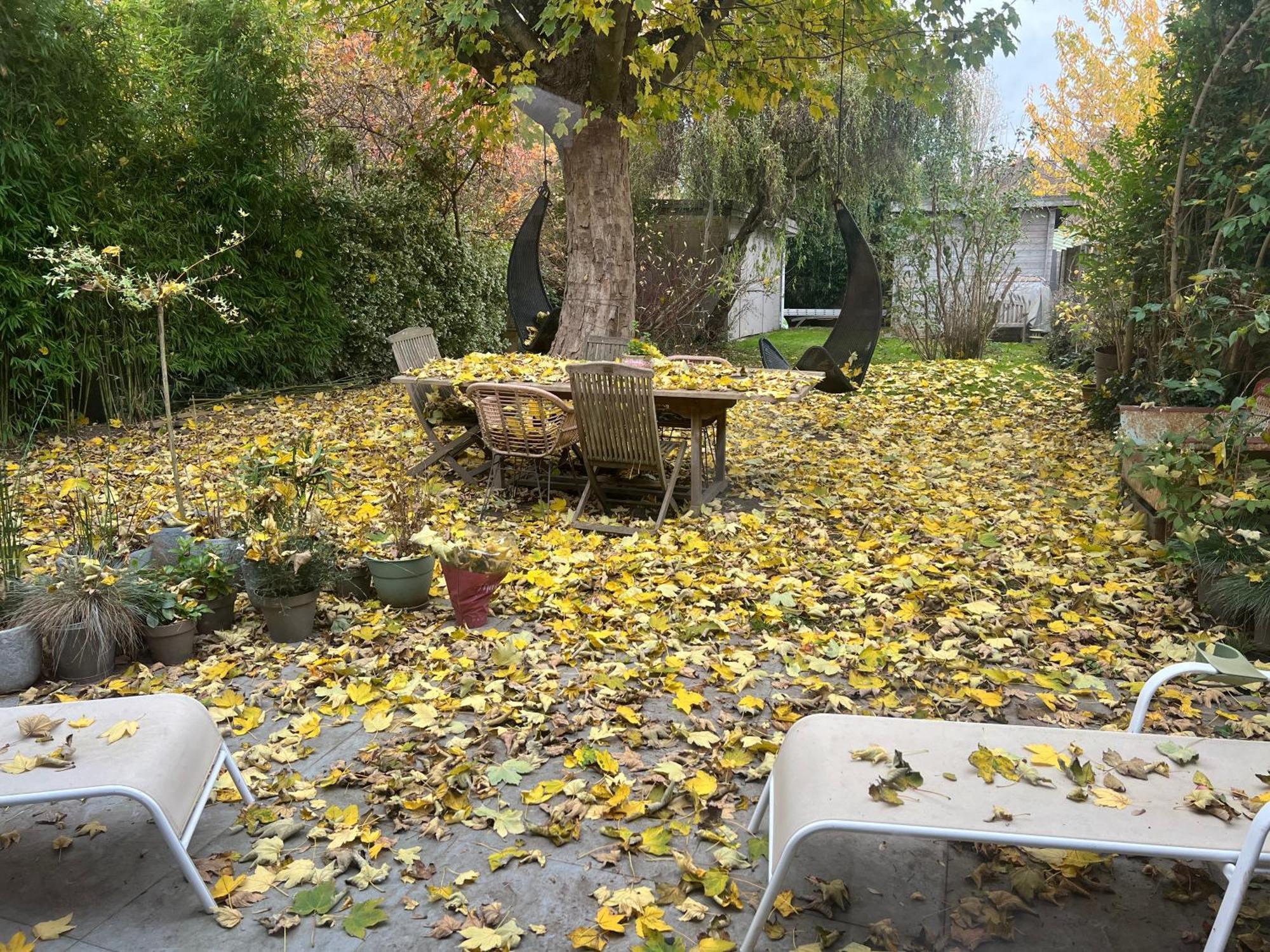 Accommodatie bij particulieren Petit Cocon Lillois:cheminee & Jardin *